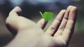۵ راهکار علمی برای مقابله با بی معنایی زندگی