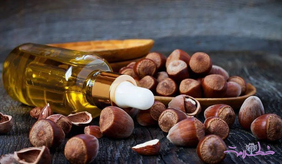 فندق را چگونه نگهداری کنید تا خواص اش از بین نرود