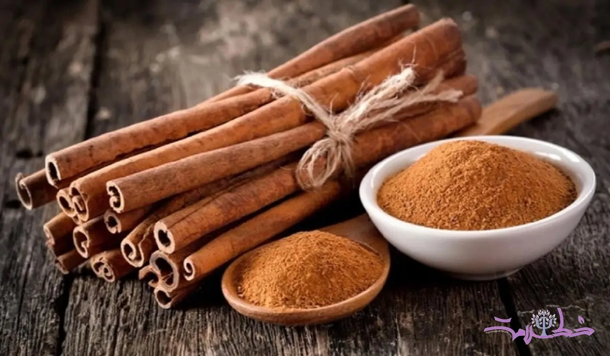 این ادویه خوش عطر در کاهش وزن موثر است + دلایل علمی / فیلم