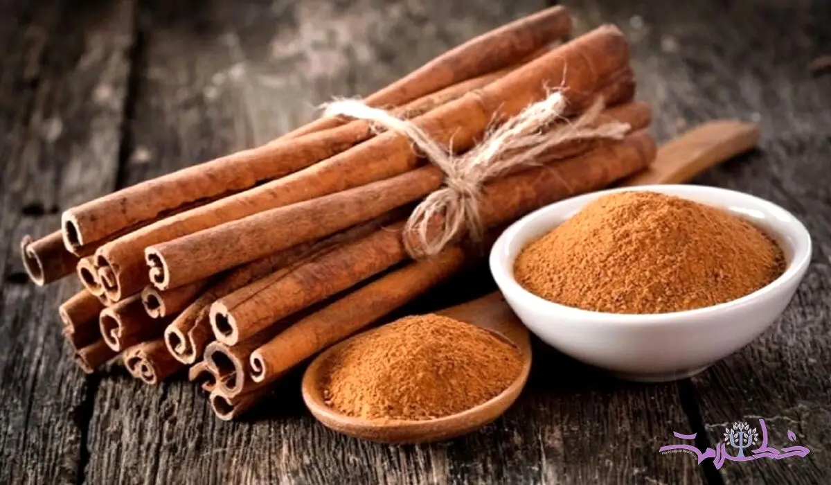 این ادویه خوش عطر در کاهش وزن موثر است + دلایل علمی / فیلم