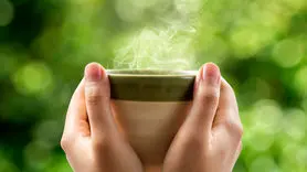 هشدار به دوستداران چای سبز! عصاره چای سبز باعث آسیب کبدی می شود