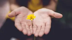 بخشش سمی چه زمانی اتفاق می افتد؟