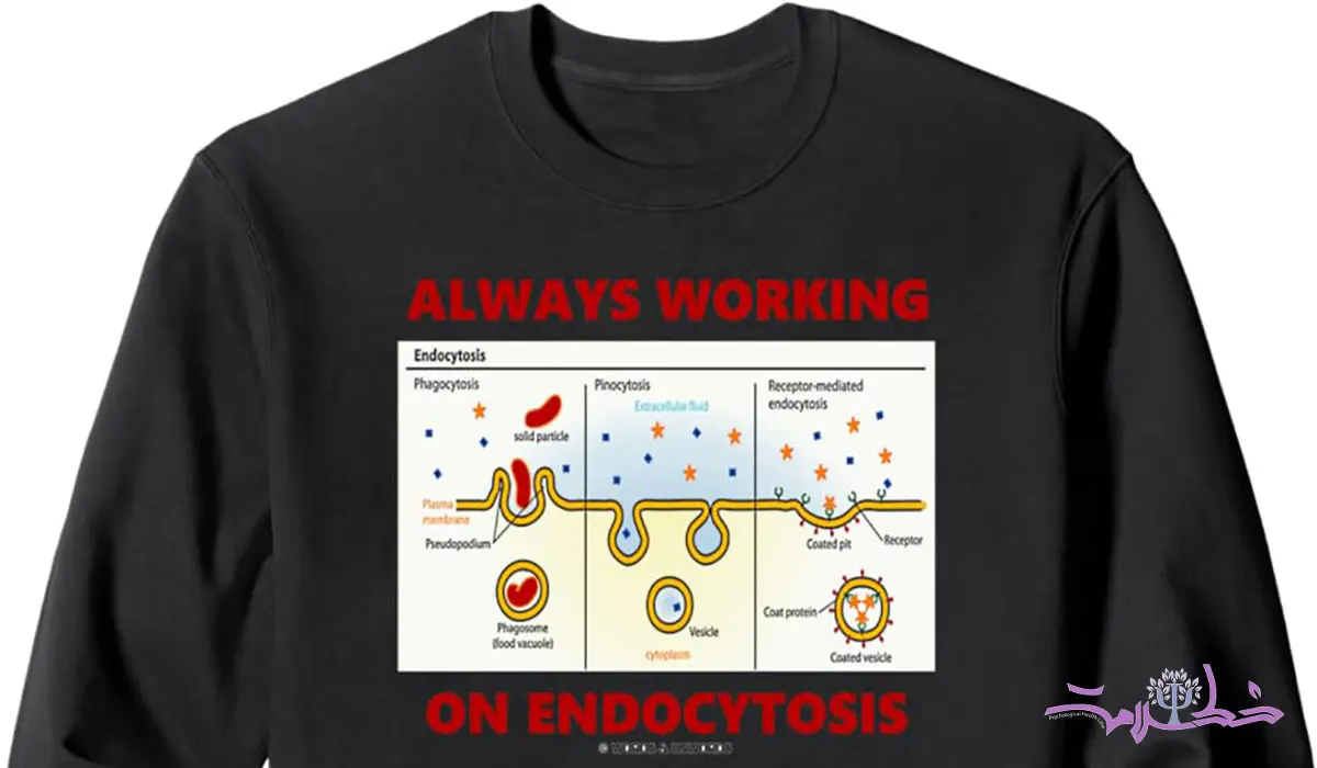 اندوسیتوز چیست؟ + جدول اندوسیتوز و بیماری‌های عصبی / آیا مردم ایران در معرض اندوسیتوز هستند؟