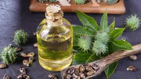 روغن کرچک صاف کننده طبیعی مو/ وز موها را خانگی از بین ببرید