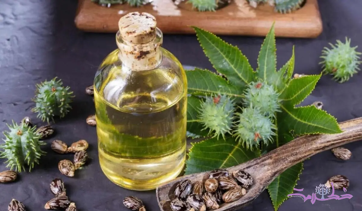 روغن کرچک صاف کننده طبیعی مو/ وز موها را خانگی از بین ببرید