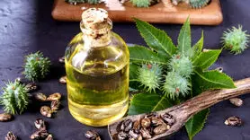 روغن کرچک صاف کننده طبیعی مو/ وز موها را خانگی از بین ببرید