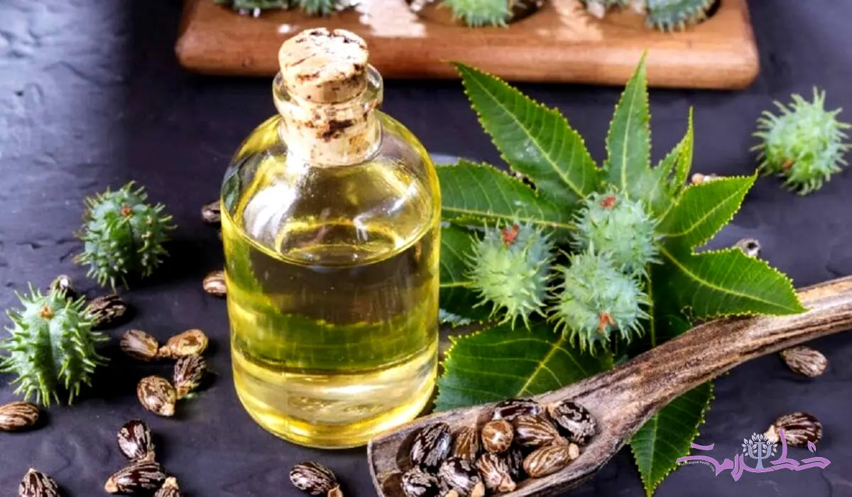 روغن کرچک صاف کننده طبیعی مو/ وز موها را خانگی از بین ببرید