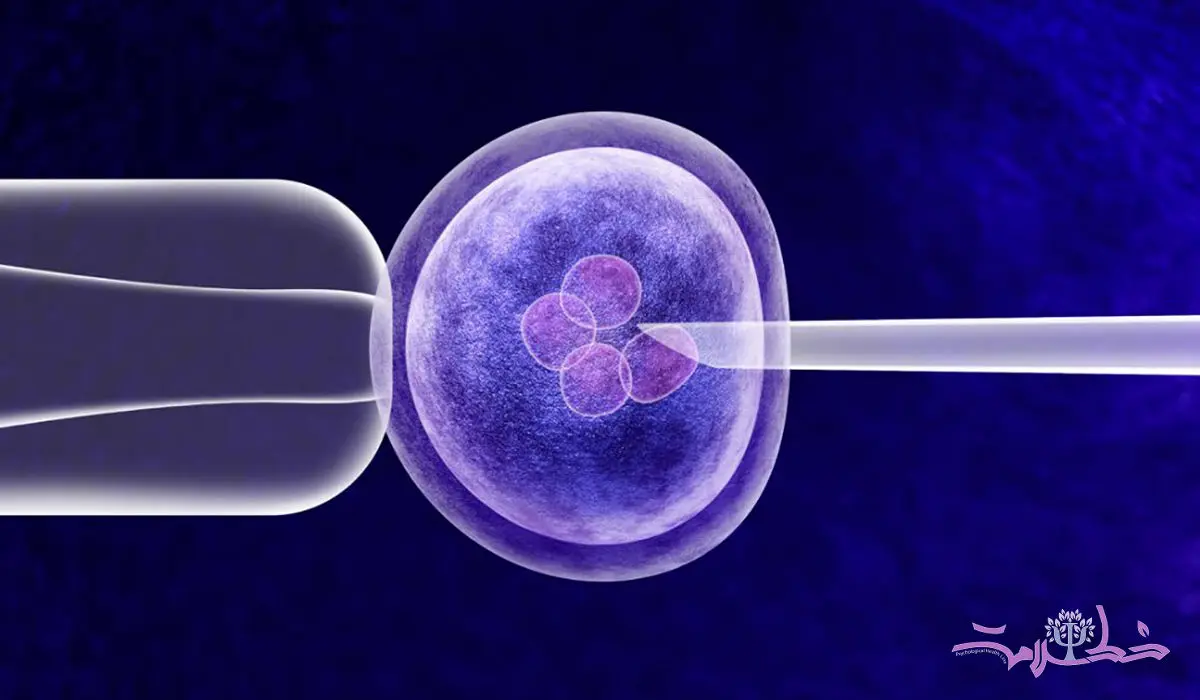 آی وی اف چیست ؟ چگونه انجام می شود!