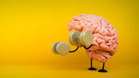 مغز شما به این تمرین نیاز دارد
