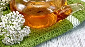 این دمنوش طبیعی خستگی خانه تکانی را کاهش می دهد 