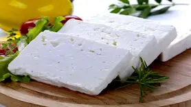 عاشقان پنیر این مطلب را حتما بخوانند