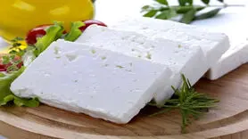 عاشقان پنیر این مطلب را حتما بخوانند