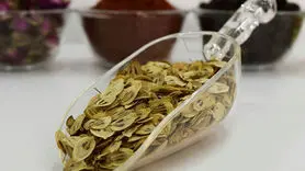  فواید شگفت انگیز گلپر و رایحه آن 
