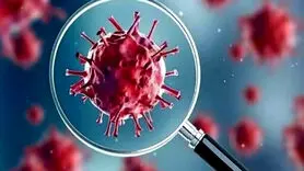افزایش ابتلا به کرونا به خاطر مسابقات المپیک + وضعیت جدید کرونا در دنیا و ایران