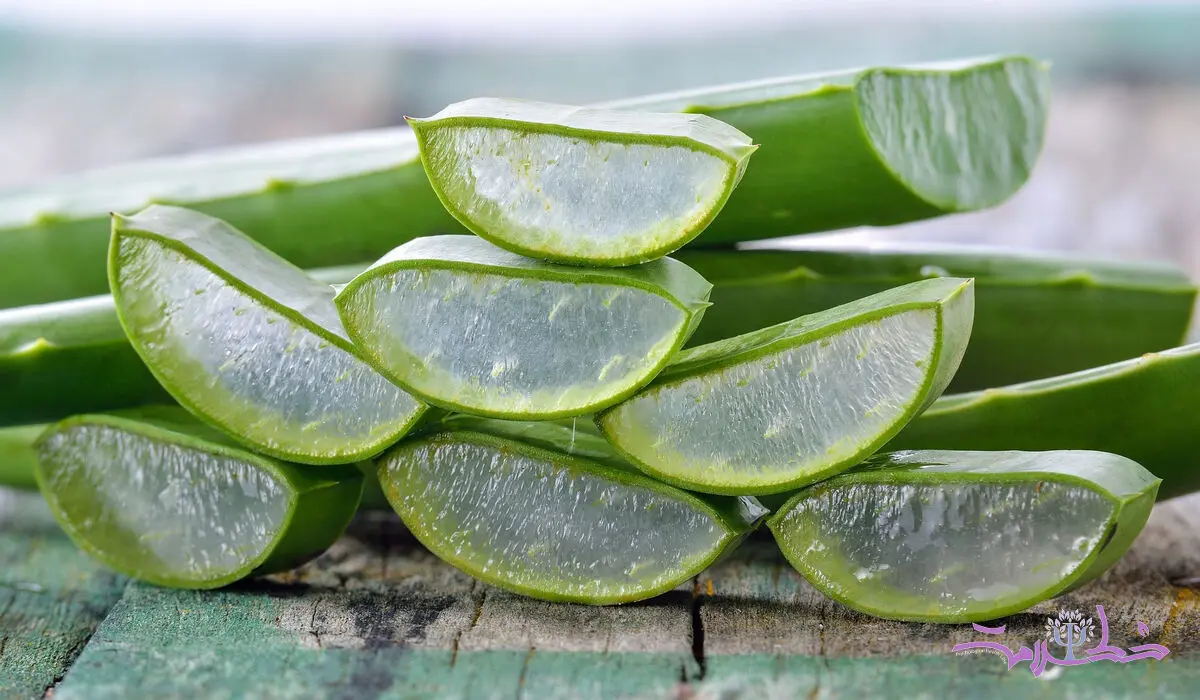 خواص درمانی گیاه صبور در طب سنتی