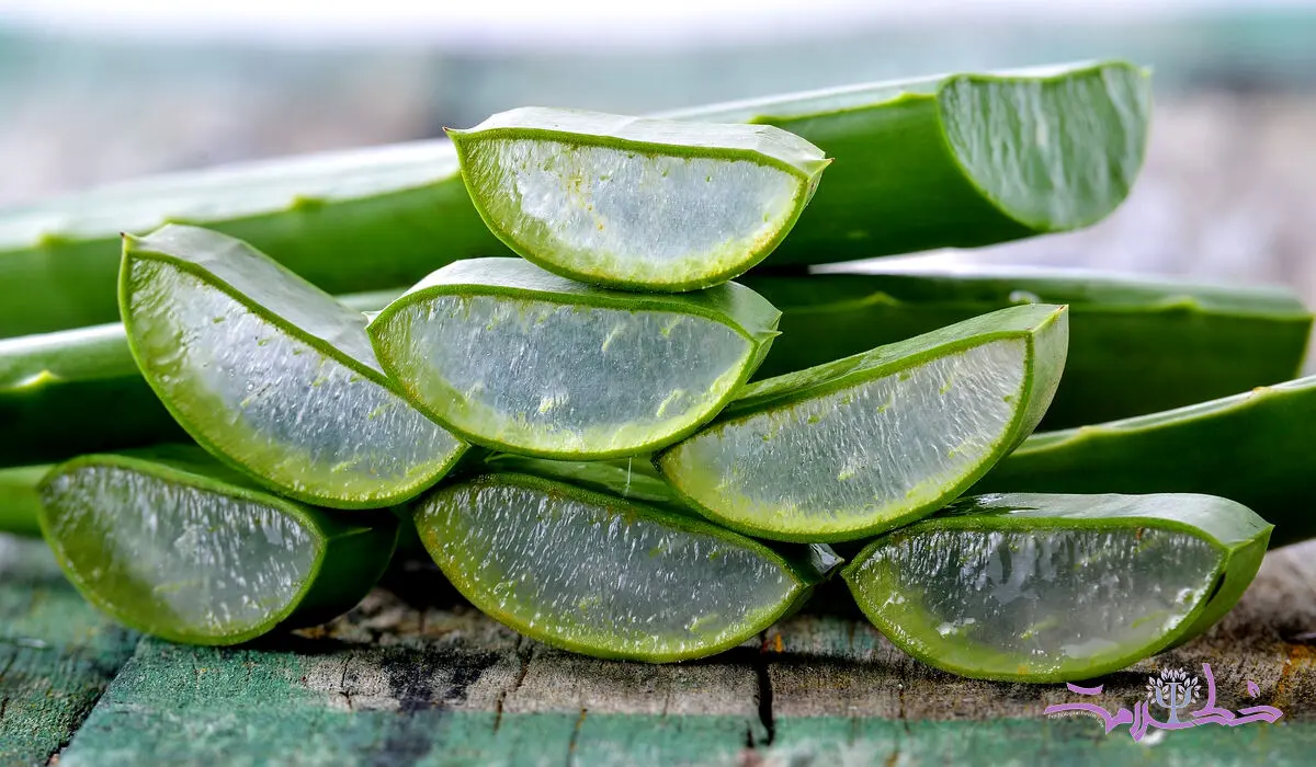 خواص درمانی گیاه صبور در طب سنتی