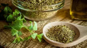 خواص درمانی پونه از مقابله با باکتری‌ها و قارچ‌ها گرفته تا کاهش التهاب و استرس !