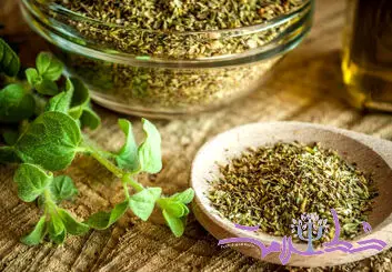 خواص درمانی پونه از مقابله با باکتری‌ها و قارچ‌ها گرفته تا کاهش التهاب و استرس !