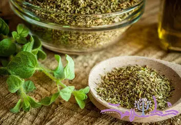 خواص درمانی پونه از مقابله با باکتری‌ها و قارچ‌ها گرفته تا کاهش التهاب و استرس !