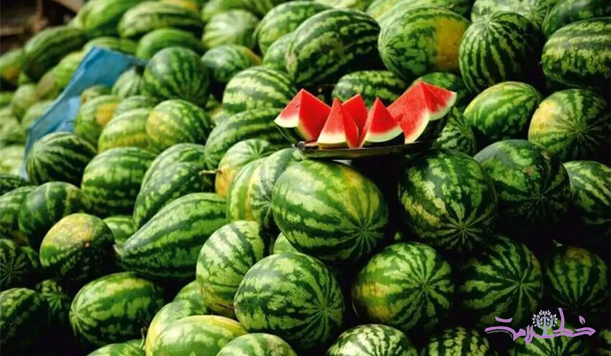 با استفاده از این 4 روش از هندوانه سربسته نترسید