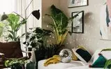 گیاهان برای رشد انفجاری به چند دقیقه موسیقی نیاز دارند؟