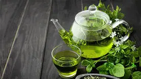 این چای تمام روز سرپا نگه تان می دارد/ 4 فنجان بنوشید