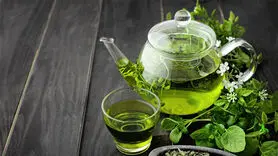 این چای تمام روز سرپا نگه تان می دارد/ 4 فنجان بنوشید