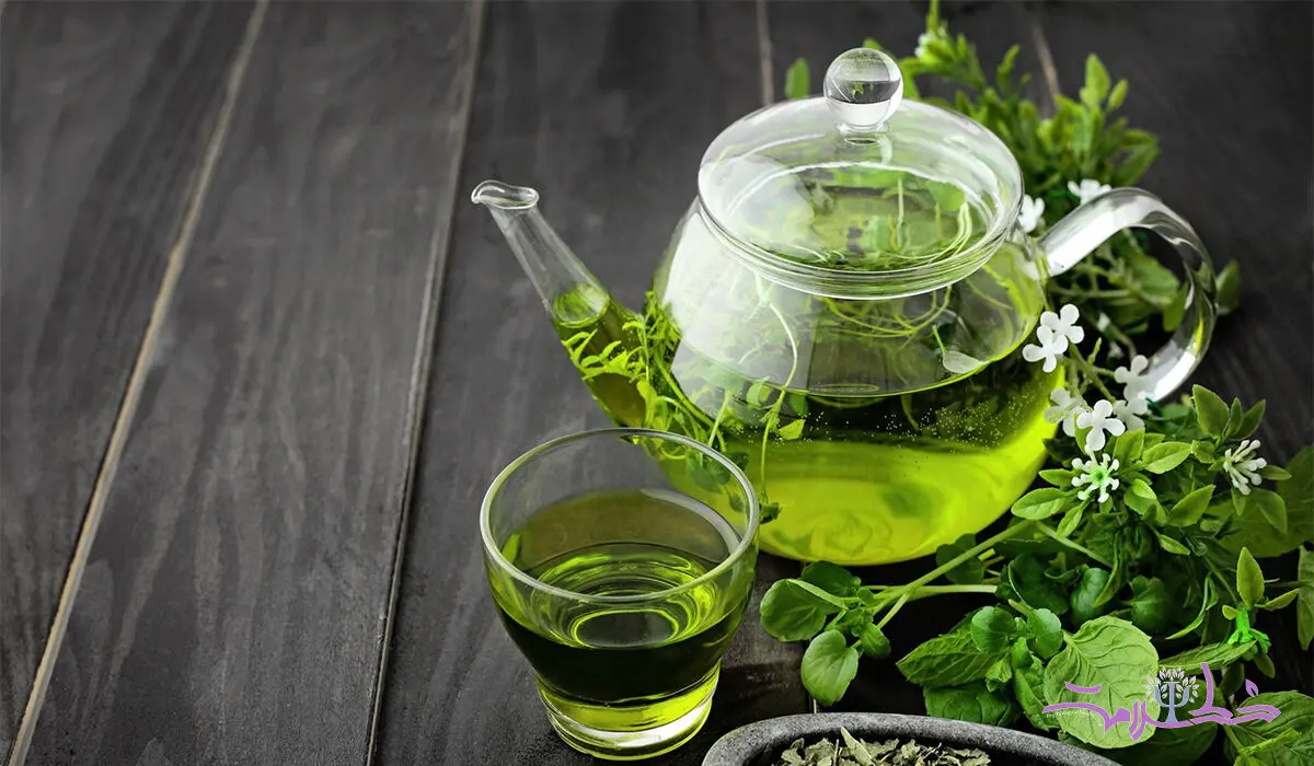 این چای تمام روز سرپا نگه تان می دارد/ 4 فنجان بنوشید