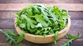 آروگولا را بخاطر خواص اش شاه سبزی ها نامیده اند + خواص شگفت انگیز و نحوه استفاده