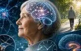 مغز آلزایمر دارد اما فرد هنوز خوب زندگی می کند؛ راز ذخیره شناختی چیست؟ / چرا بعضی مغزها دیرتر علائم آلزایمر را نشان می‌دهند؟