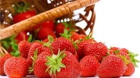 توت فرنگی بخورید تا آلزایمر نگیرید