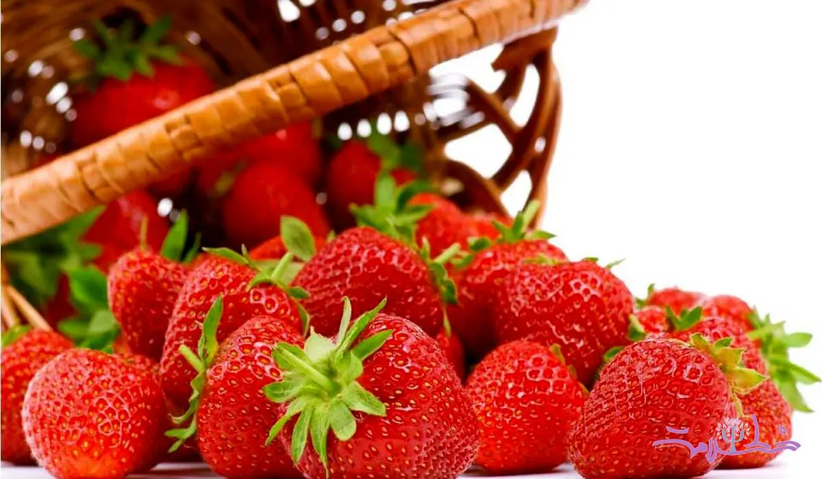 توت فرنگی بخورید تا آلزایمر نگیرید