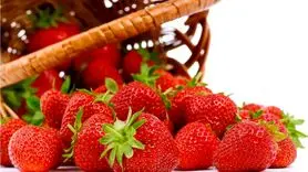 توت فرنگی بخورید تا آلزایمر نگیرید