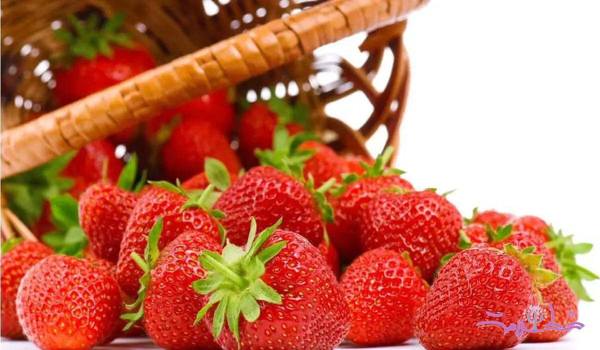 توت فرنگی بخورید تا آلزایمر نگیرید