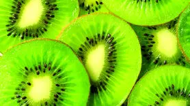 چرا هر روز  باید یک کیوی بخورید؟ + راهنمای کامل مصرف