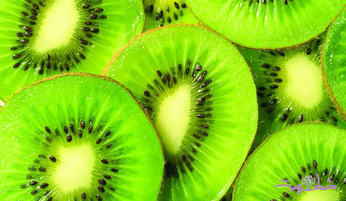 چرا هر روز  باید یک کیوی بخورید؟ + راهنمای کامل مصرف