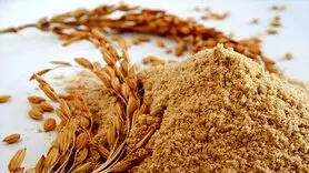 طبع سبوس برنج در طب سنتی سرد است یا گرم؟