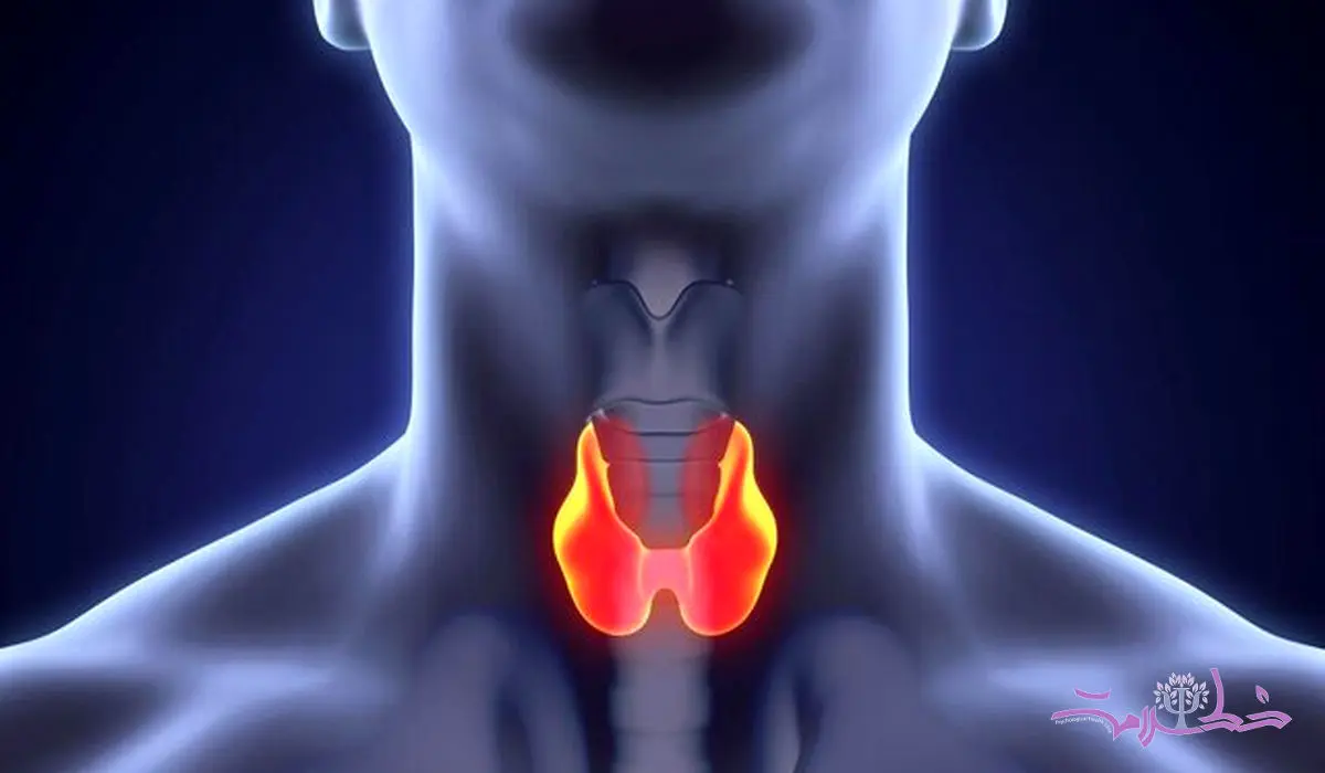 بیماری تیروئید با خوردن ۶ ماده غذایی بدتر می شود