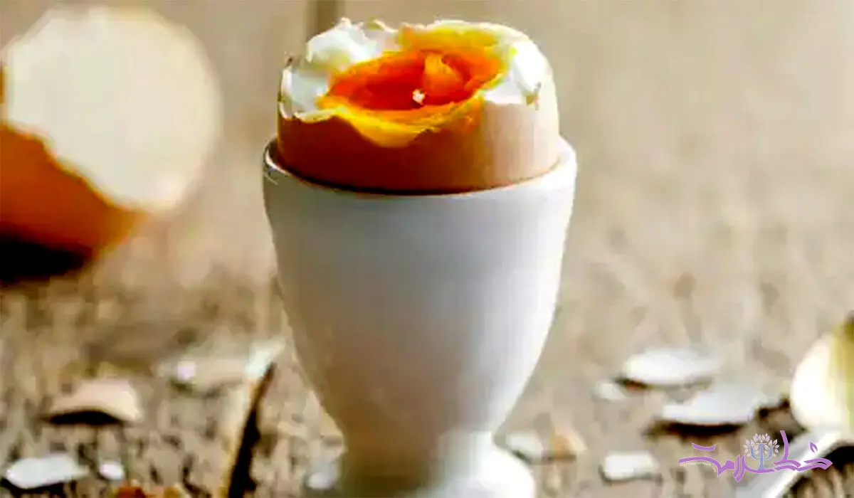 برای بلند قدتر شدن این مواد غذایی را بخورید