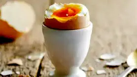 برای بلند قدتر شدن این مواد غذایی را بخورید