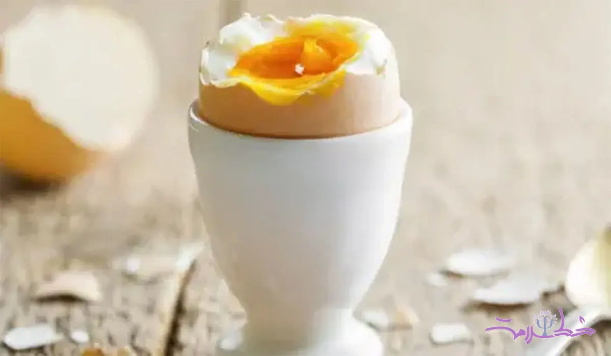 افراد بالای ۵۰ سال چند عدد تخم مرغ در روز باید مصرف کنند؟
