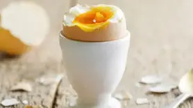افراد بالای ۵۰ سال چند عدد تخم مرغ در روز باید مصرف کنند؟