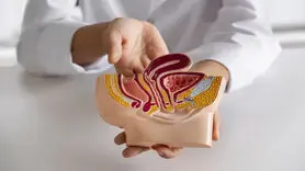 رابطه سرطان روده بزرگ با یک باکتری در دهان