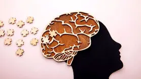 مغز افراد چاق نمی‌تواند غذای سالم را انتخاب کند / چاق‌هایی که نیاز به درمان دارند