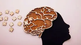 مغز افراد چاق نمی‌تواند غذای سالم را انتخاب کند / چاق‌هایی که نیاز به درمان دارند