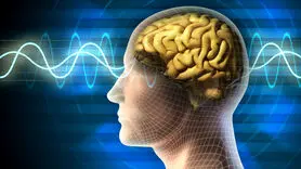 چگونه به مغز کمک کنیم تا عادات بد را ترک کند+ 3 راهکار