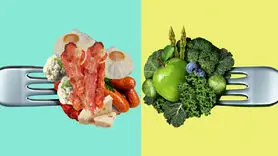 پروتئین گوشت برای سلامت روان بهتر است یا پروتئین گیاهی؟