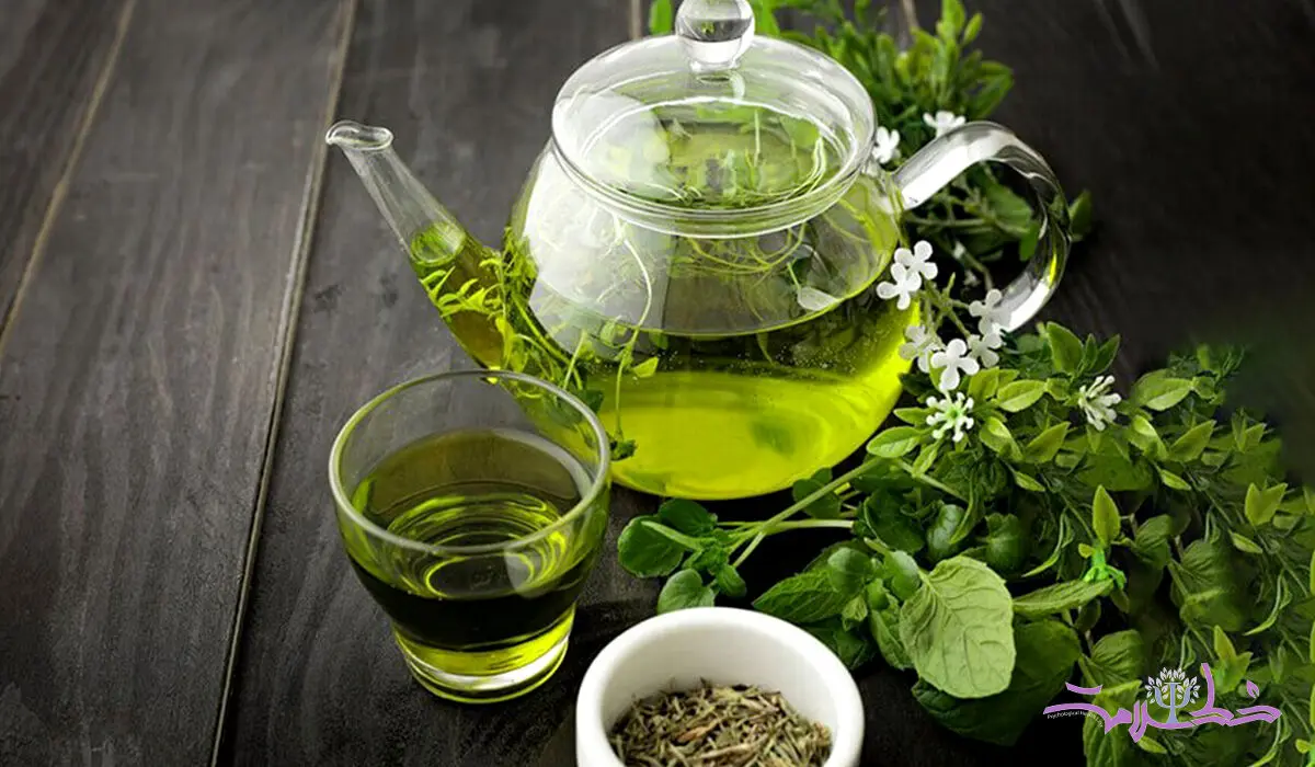 چای سبز با این 5 فایده رکورد دار است+ متخصصان پرچم چای سبز را بالا بردند