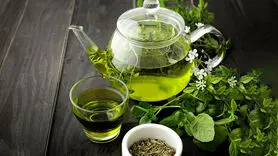 چای سبز با این 5 فایده رکورد دار است+ متخصصان پرچم چای سبز را بالا بردند