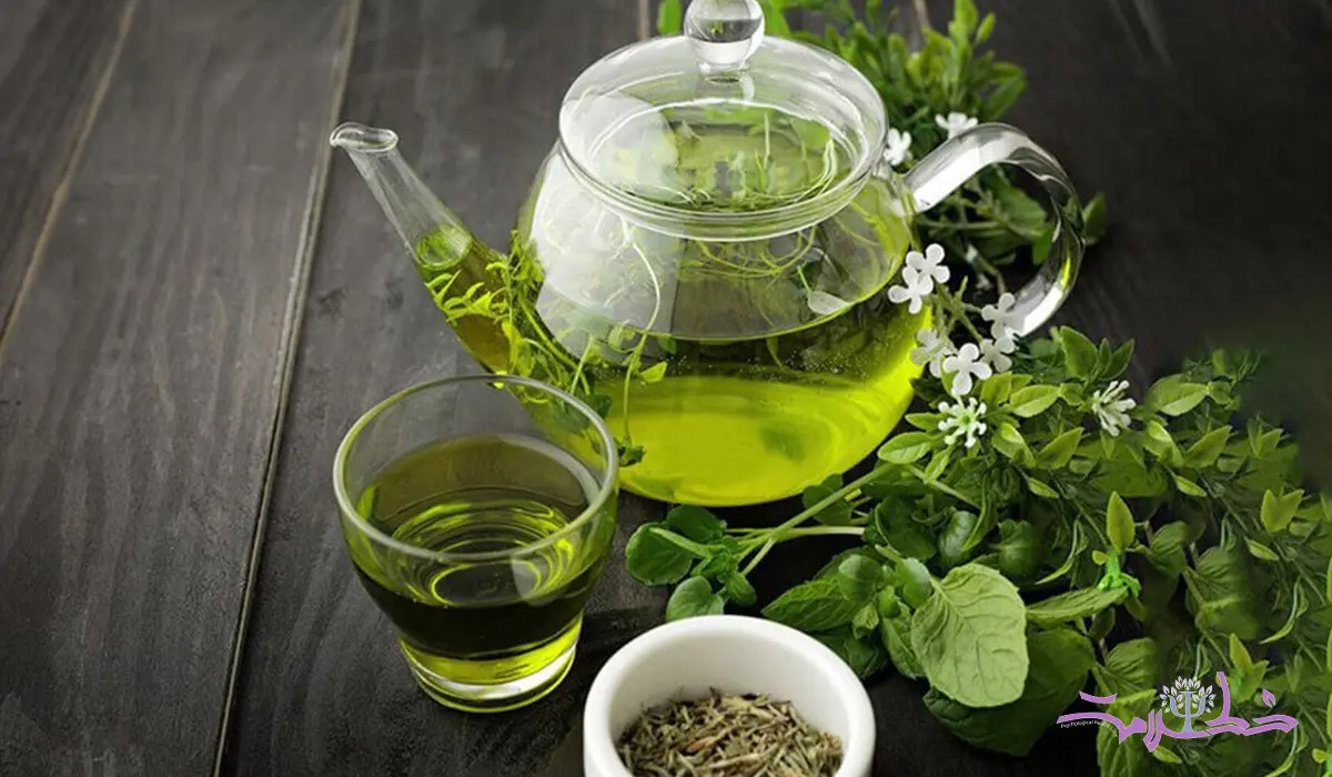 چای سبز با این 5 فایده رکورد دار است+ متخصصان پرچم چای سبز را بالا بردند
